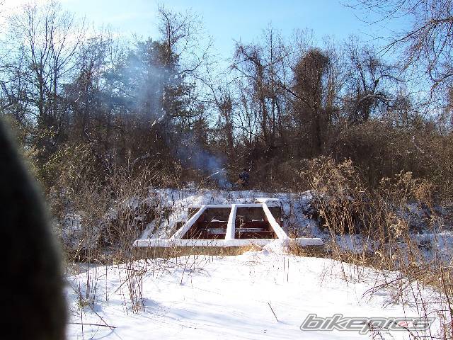 Photo 282602