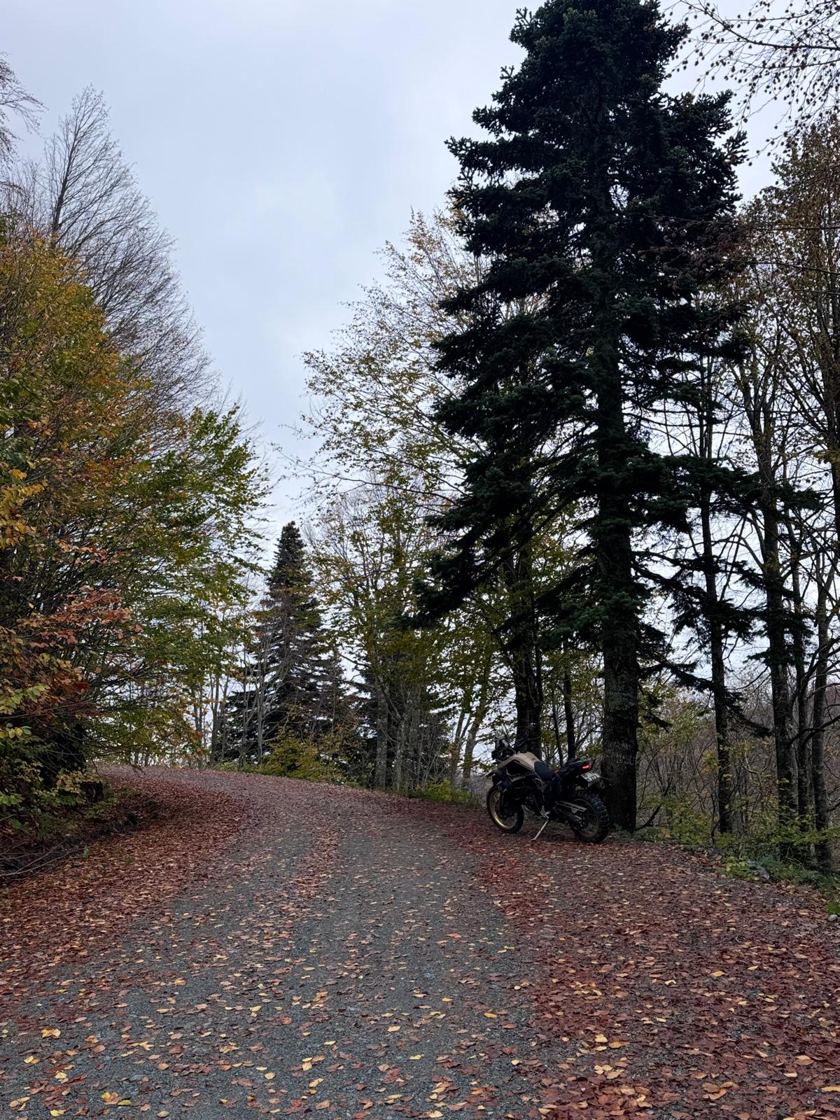 Photo 2826033
