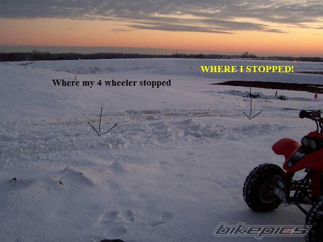 Photo 282605