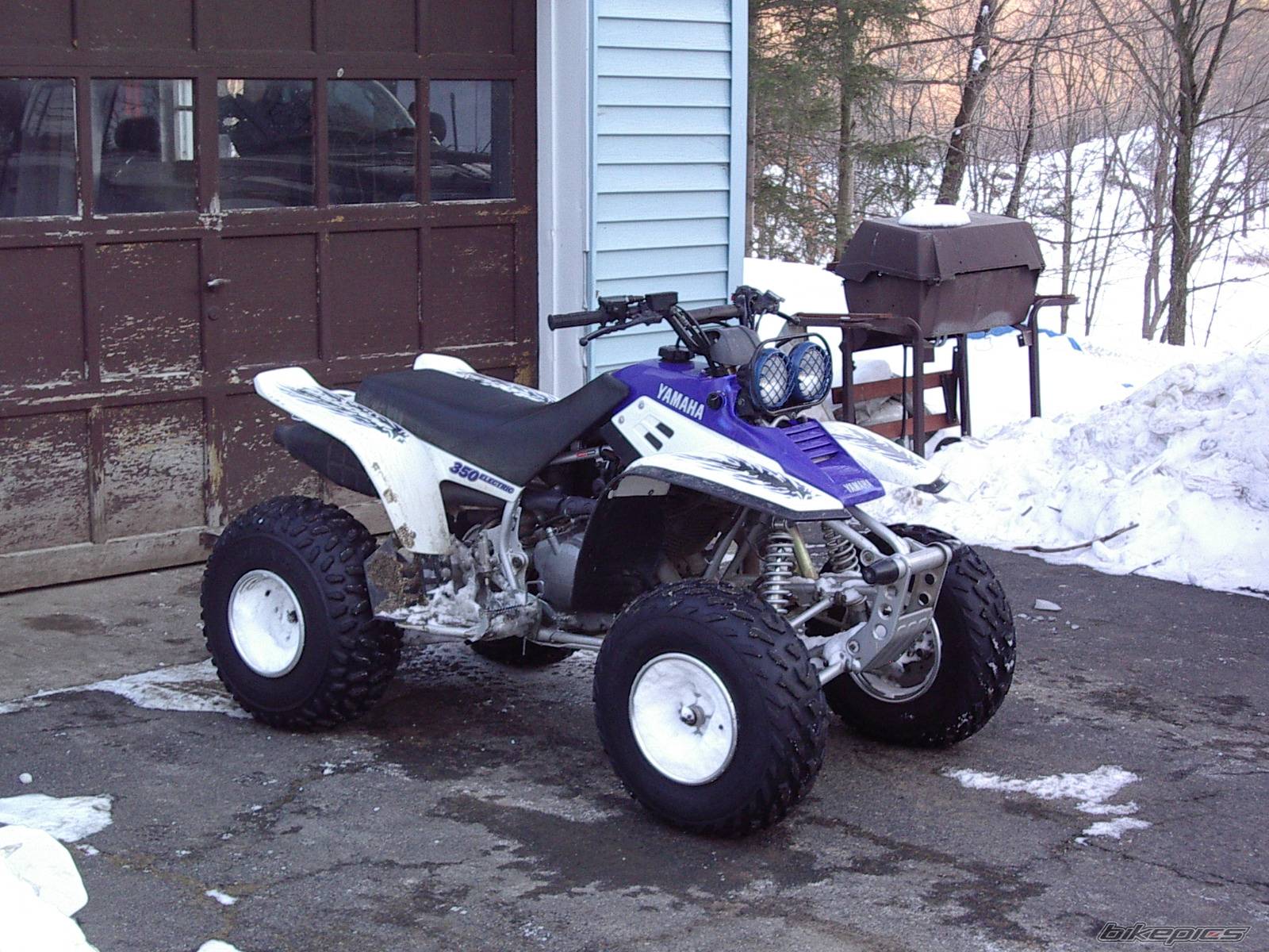 Photo 282609