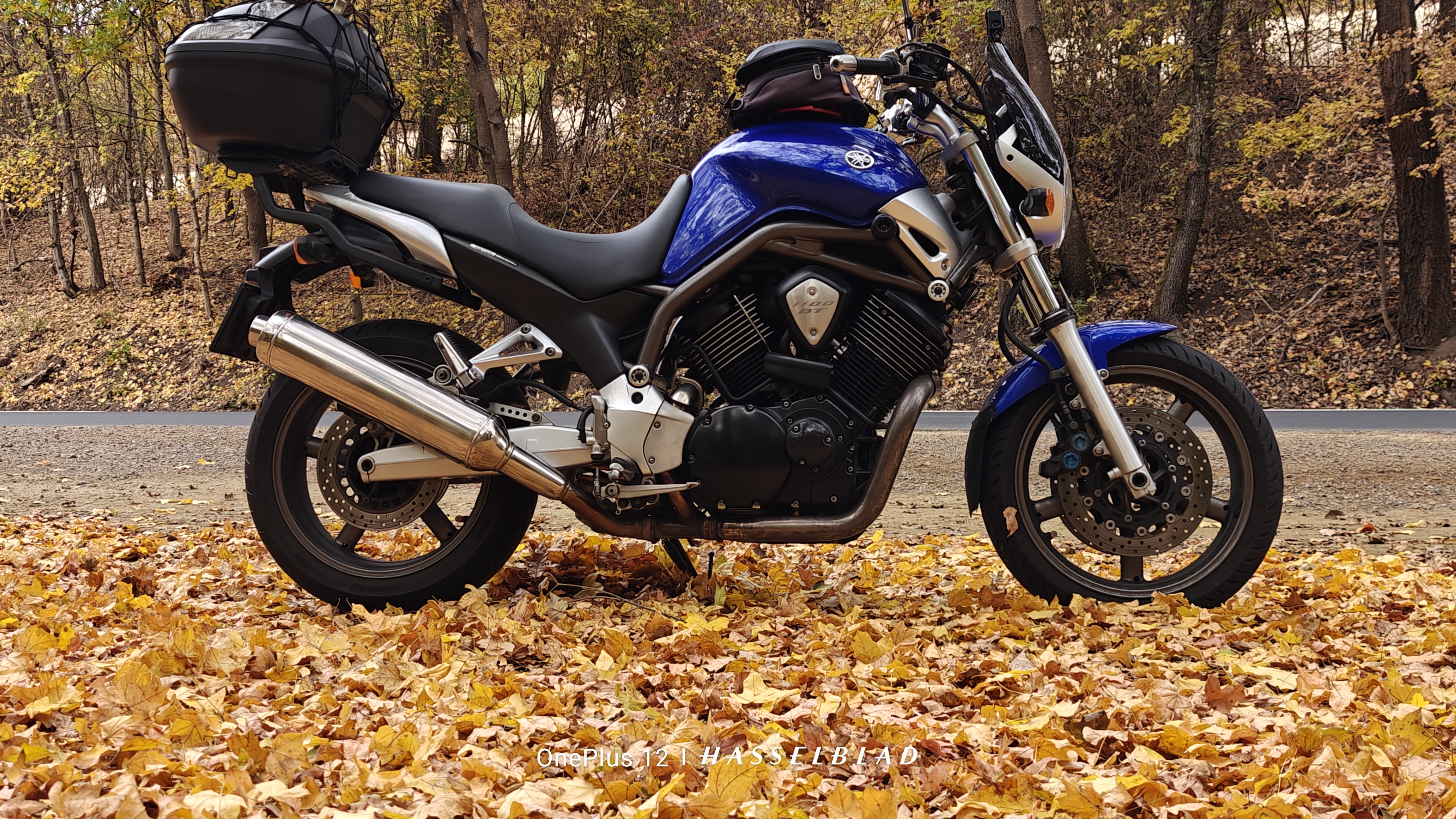 Yamaha Bulldog