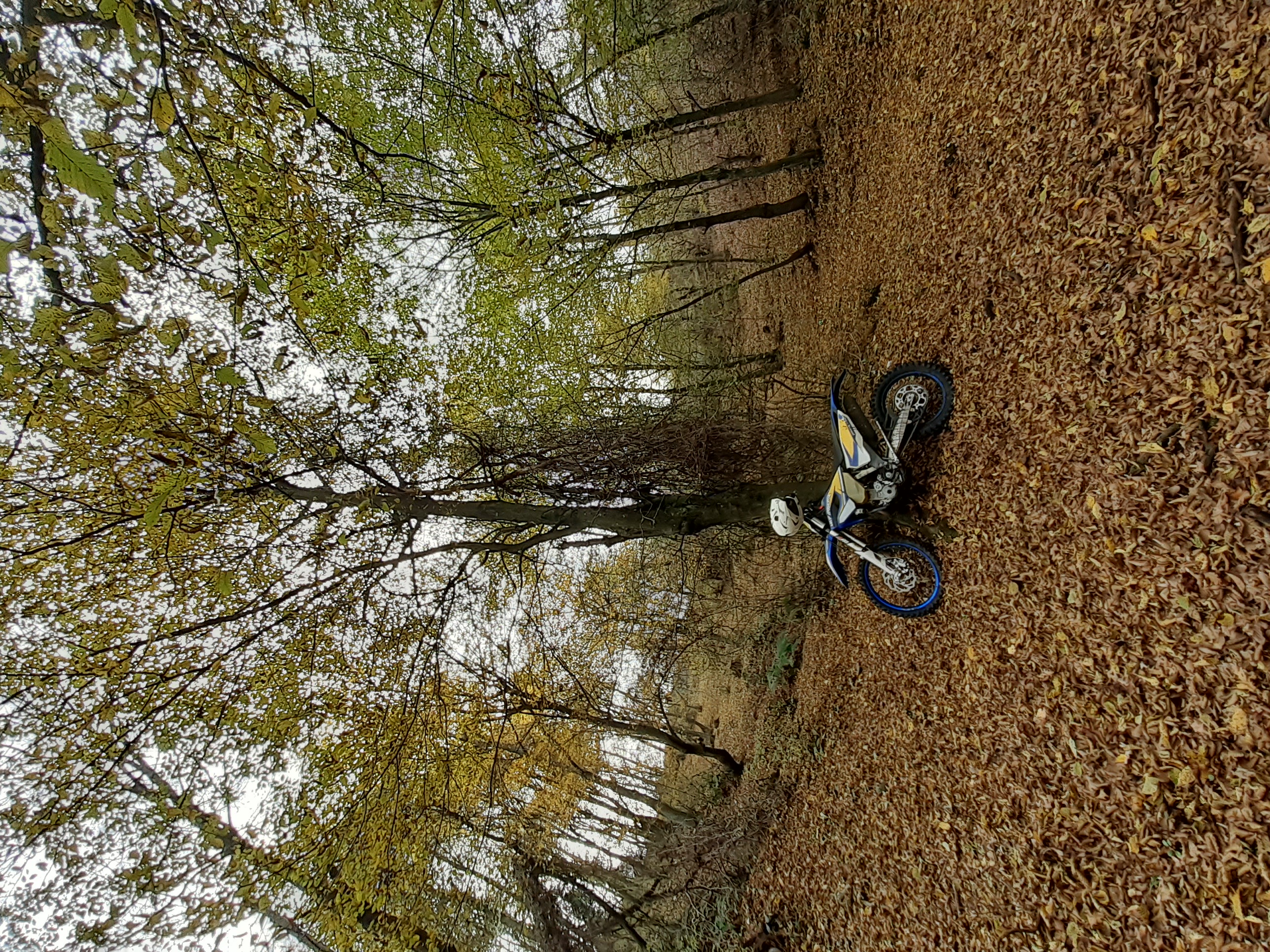 Husaberg Fe 250 4t