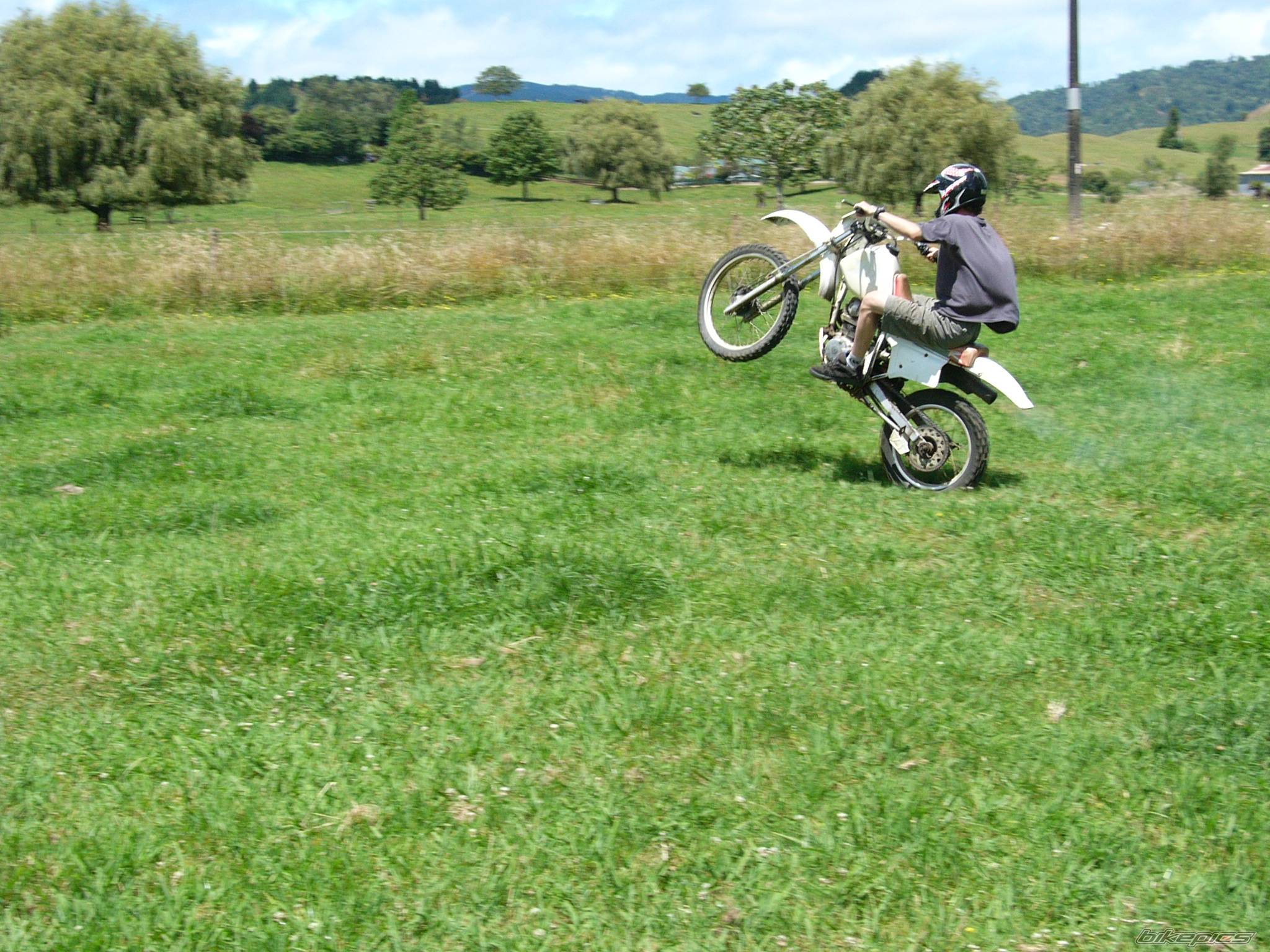 Photo 282612