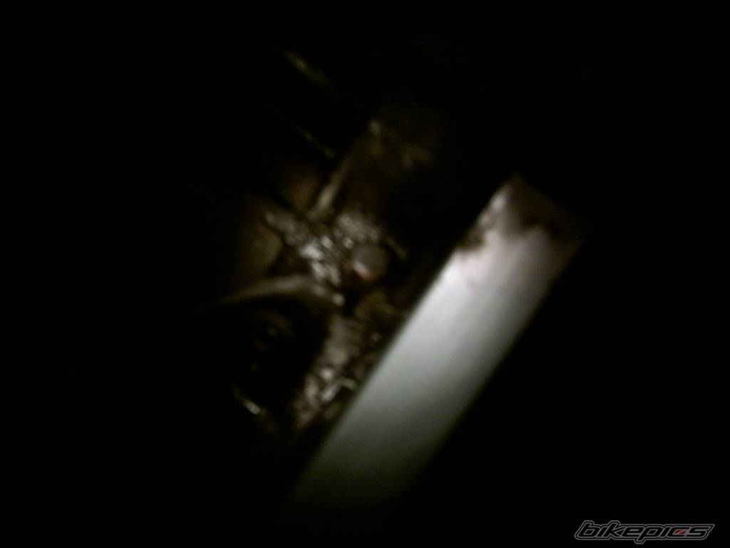 Photo 282615