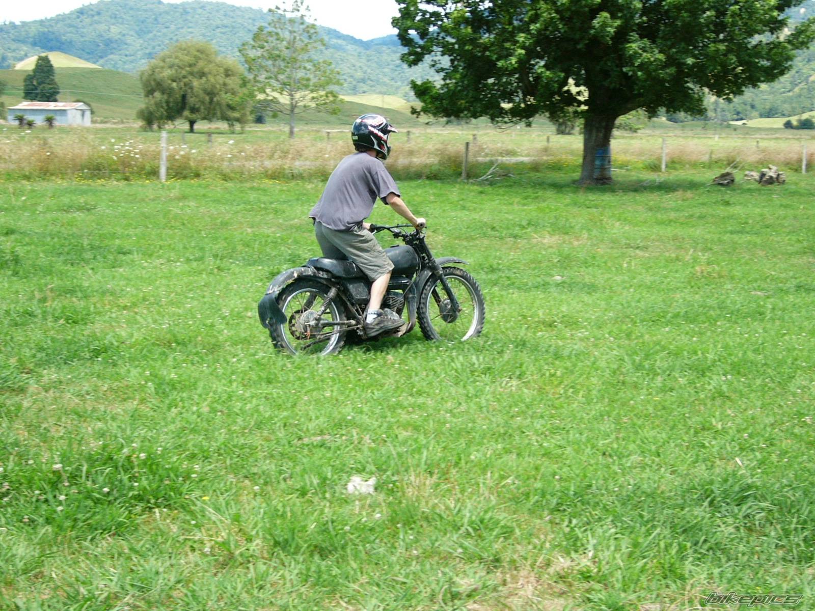 Photo 282621