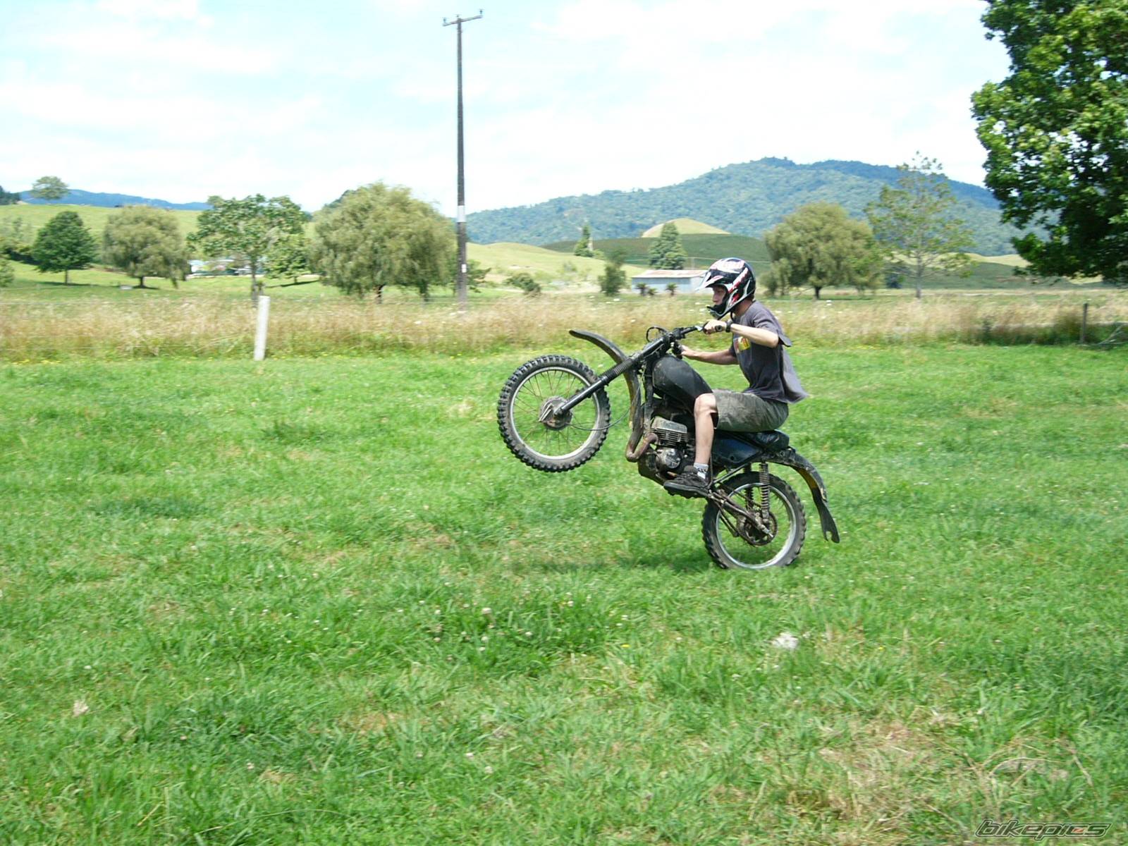 Photo 282622