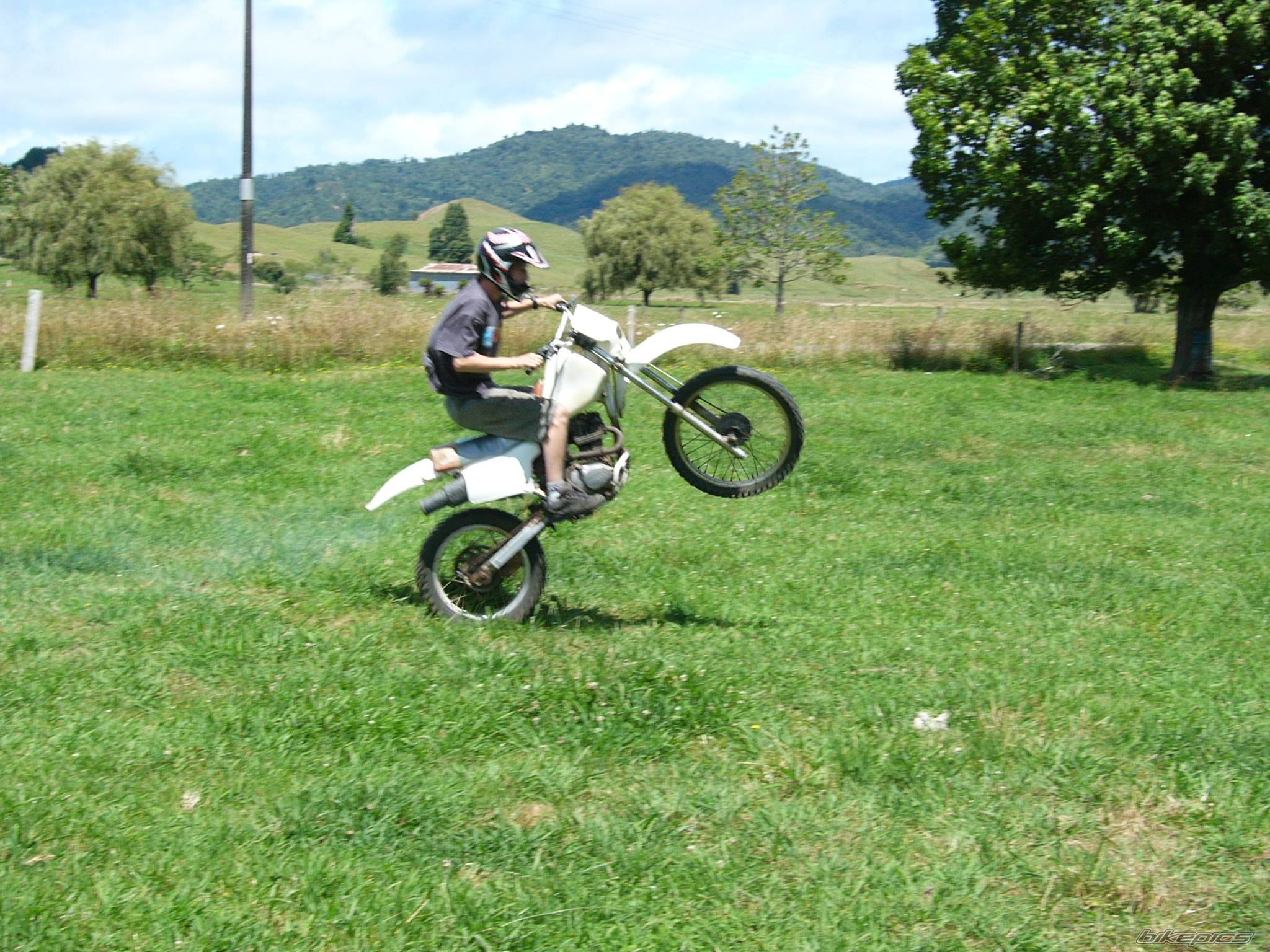 Photo 282623