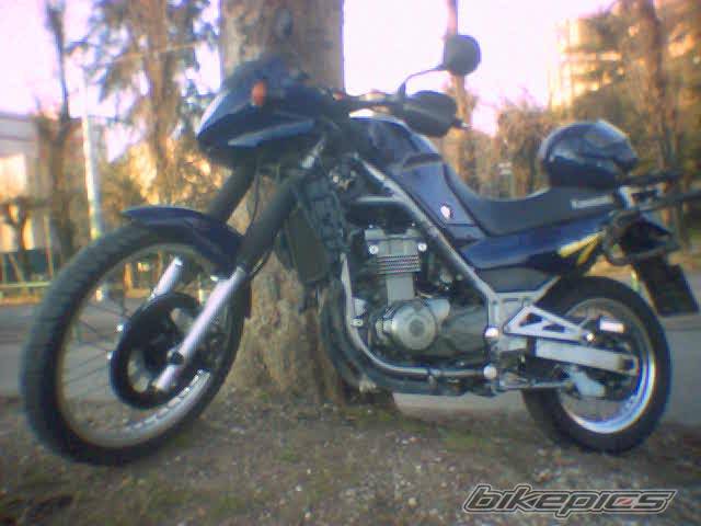 Photo 282729