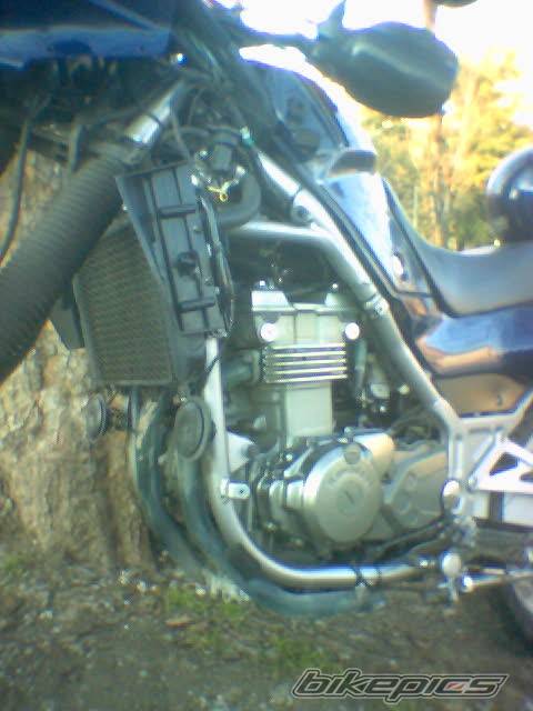 Photo 282731