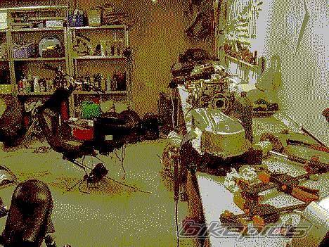Photo 282742