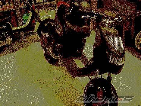 Photo 282743