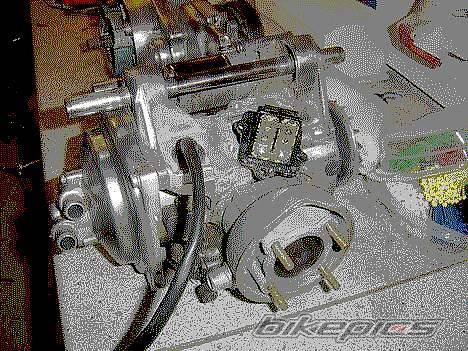 Photo 282744