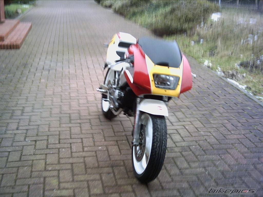 Photo 282745