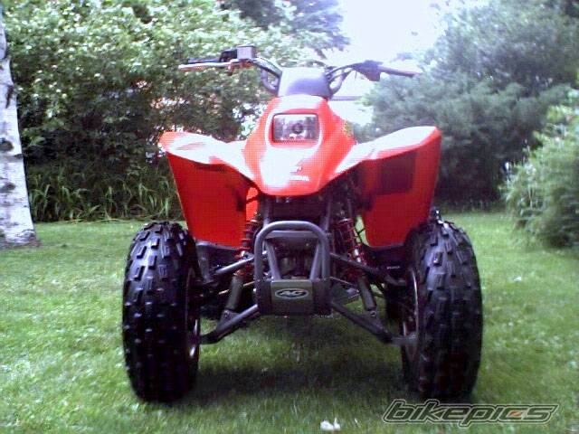 Photo 28275