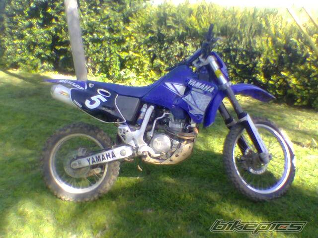 Photo 282783