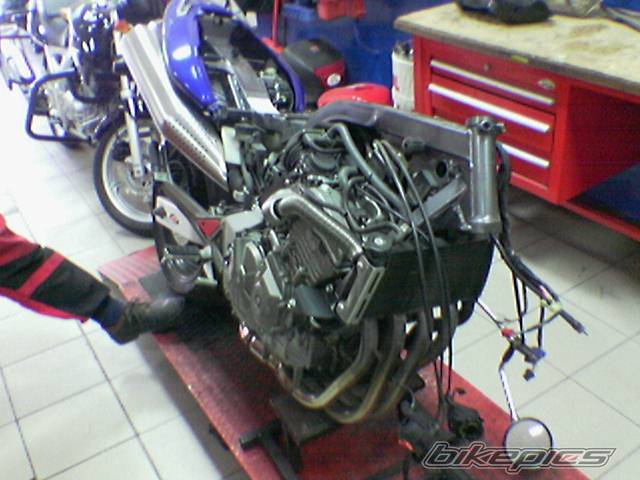 Photo 282825