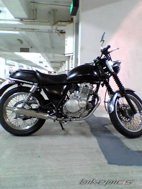 Photo 282829