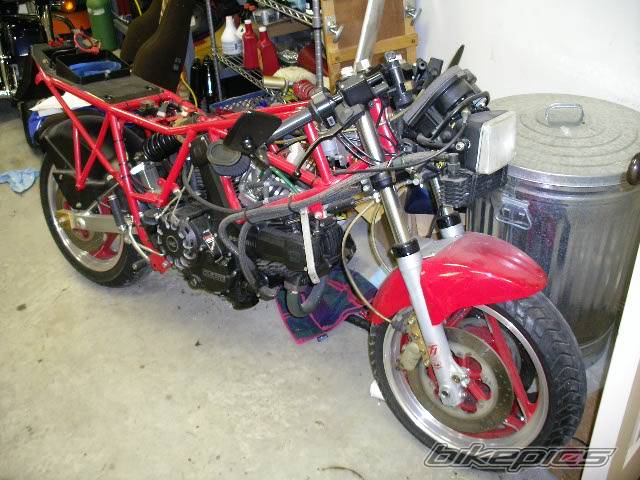 Photo 282859