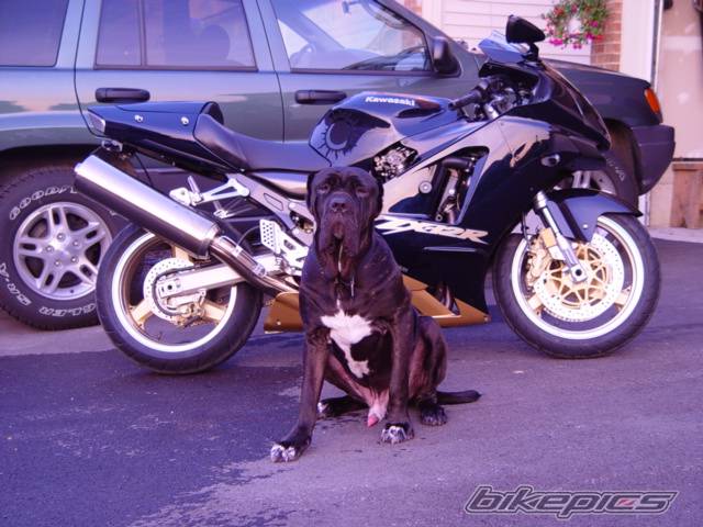 Bike Photo 28286