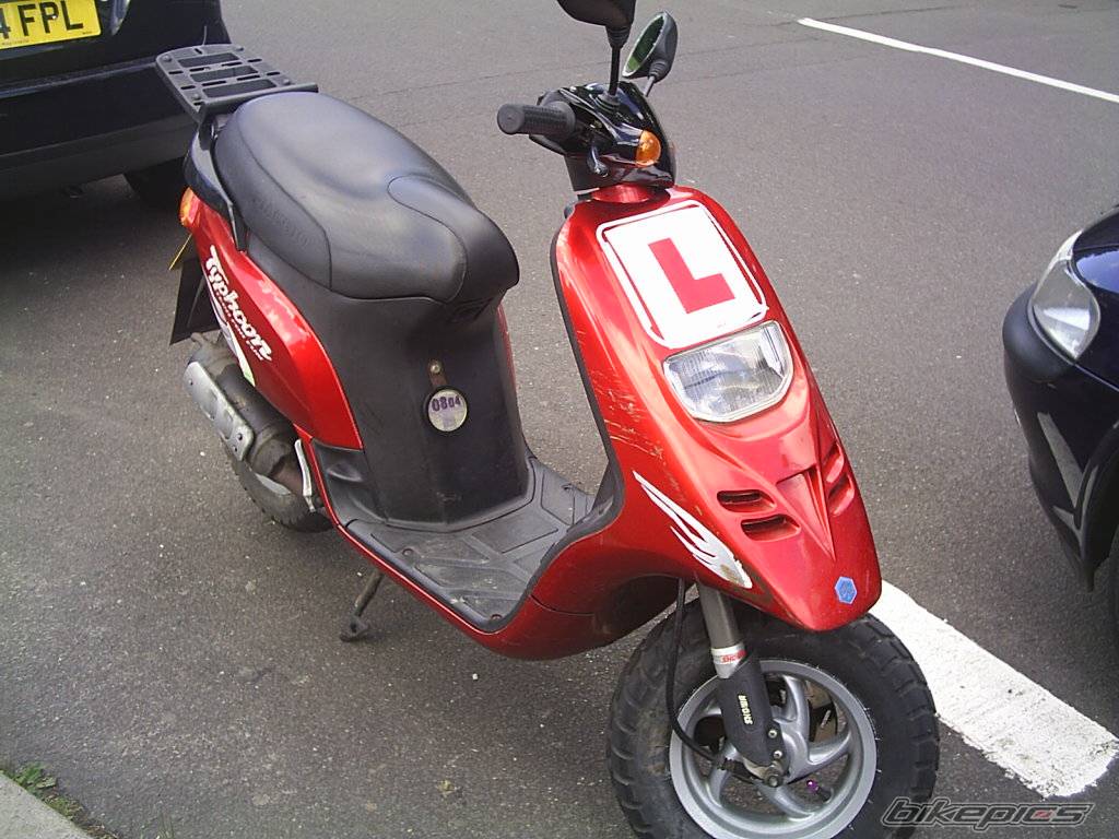 Photo 282872