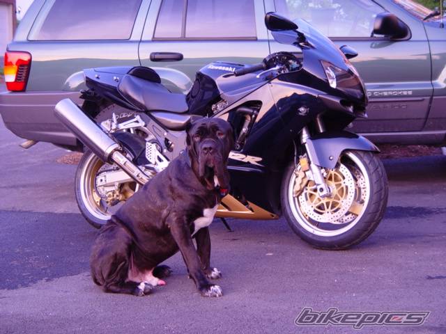 Bike Photo 28288