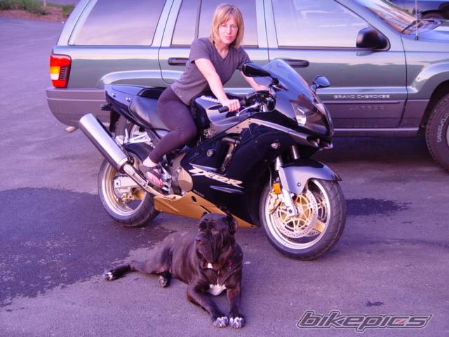 Bike Photo 28289