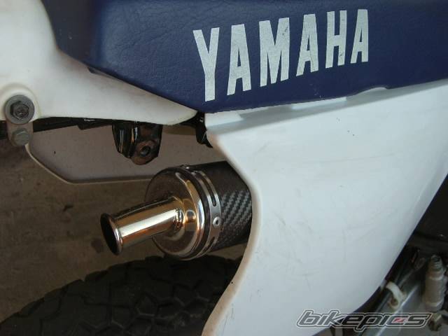 Photo 282895