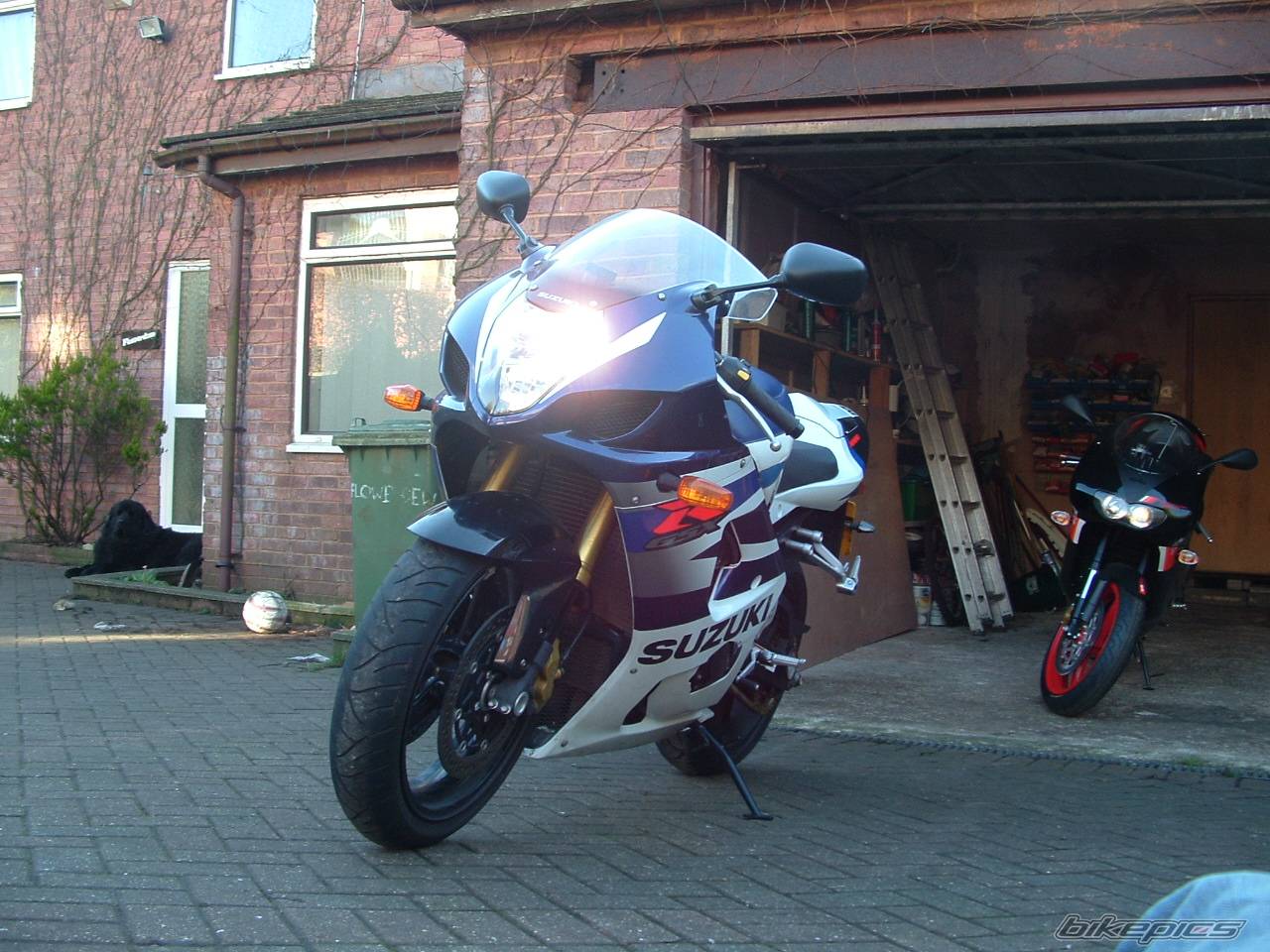 Bike Photo 282896