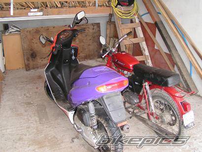 Photo 282944