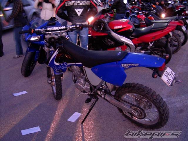 Photo 282977