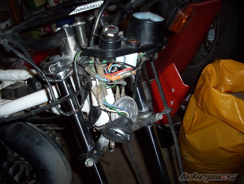 Photo 283055