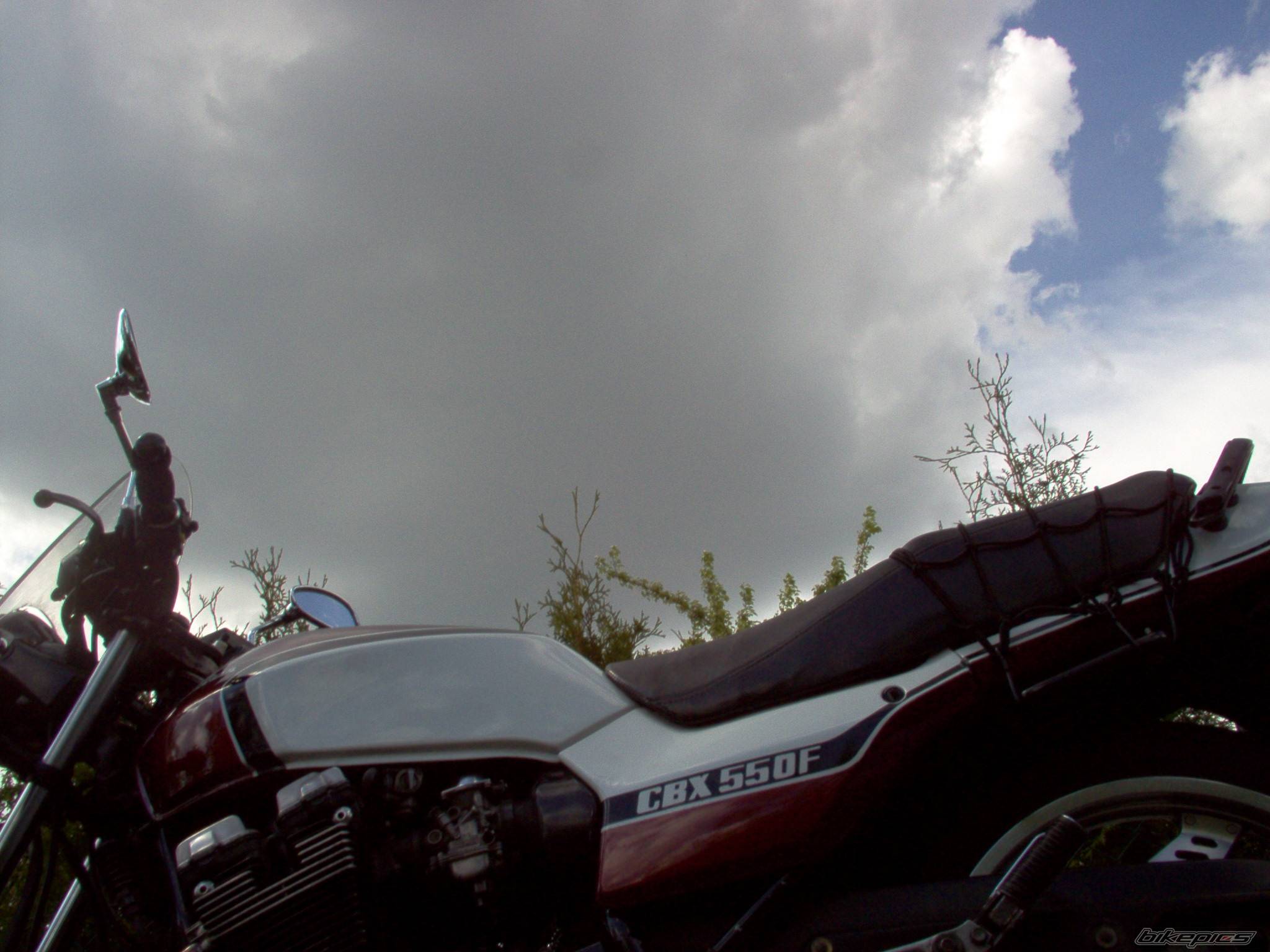 Photo 283083