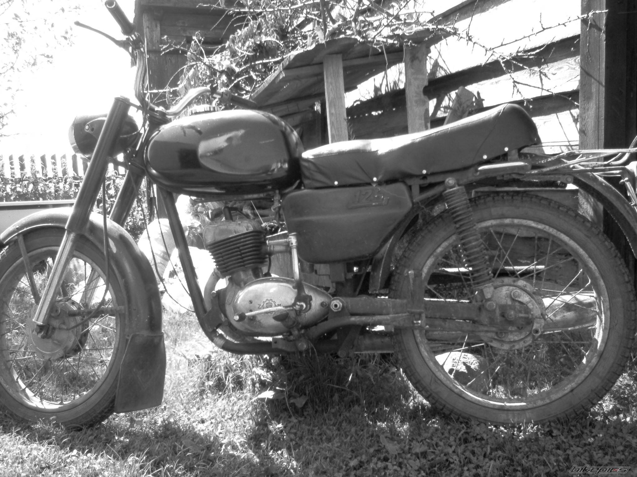 Photo 283133