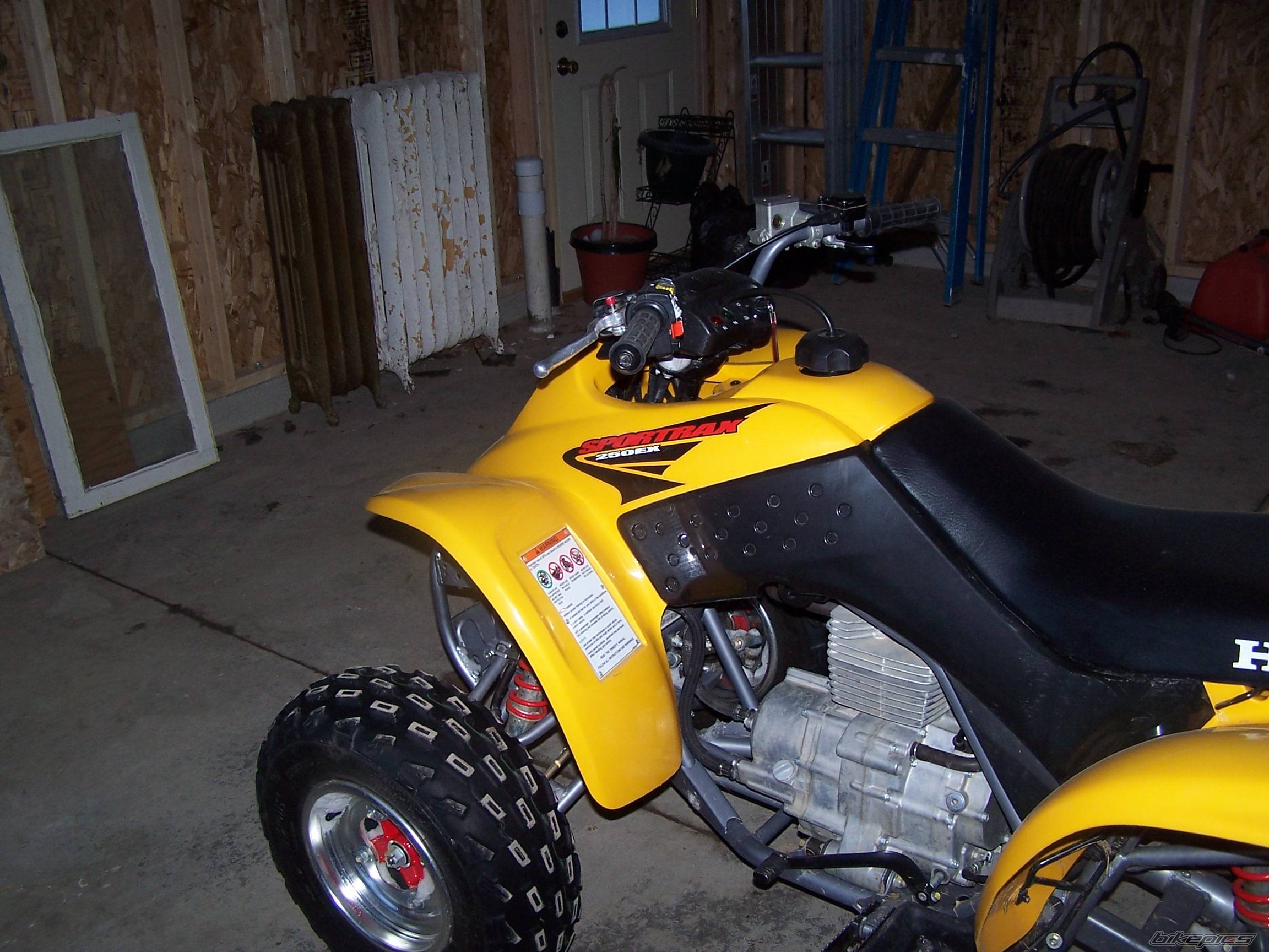 Photo 283143