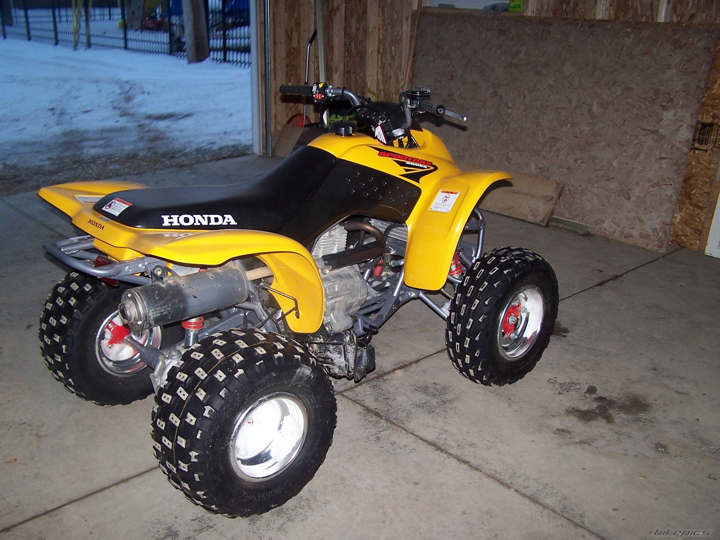 Photo 283146