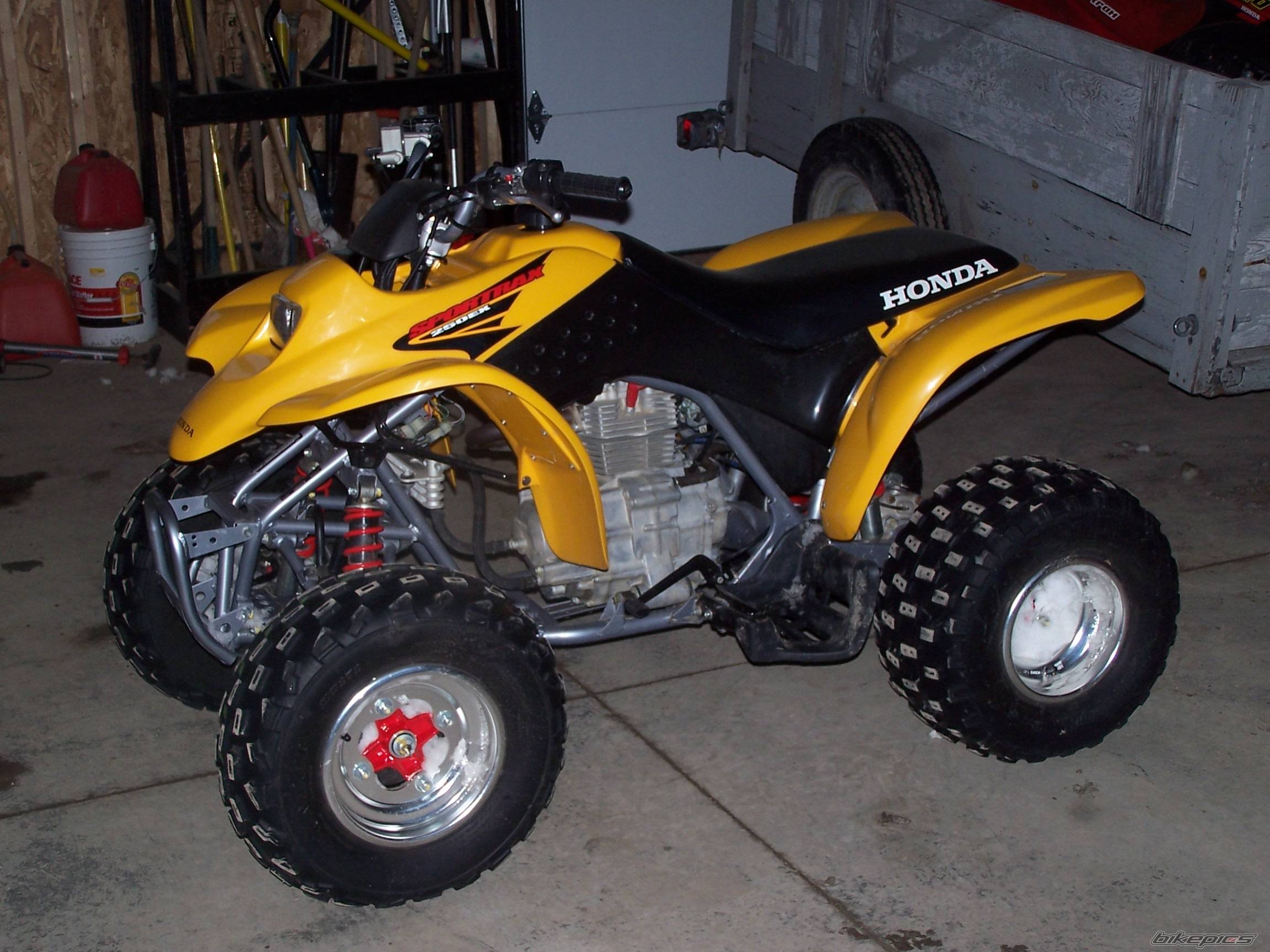 Photo 283150