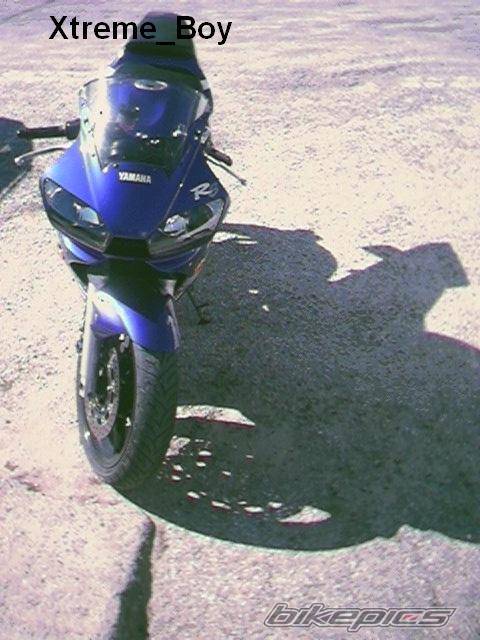 Photo 283157