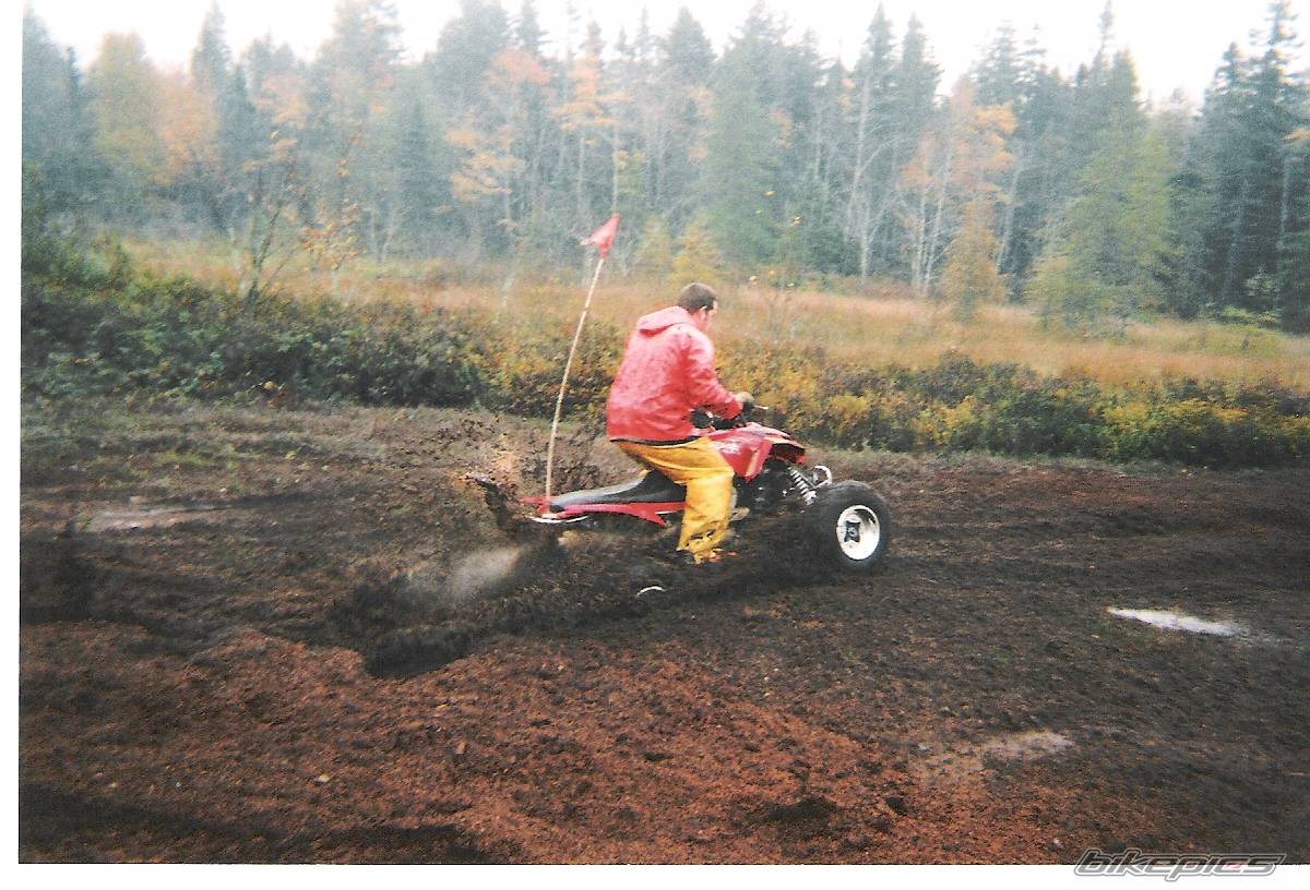 Photo 283222