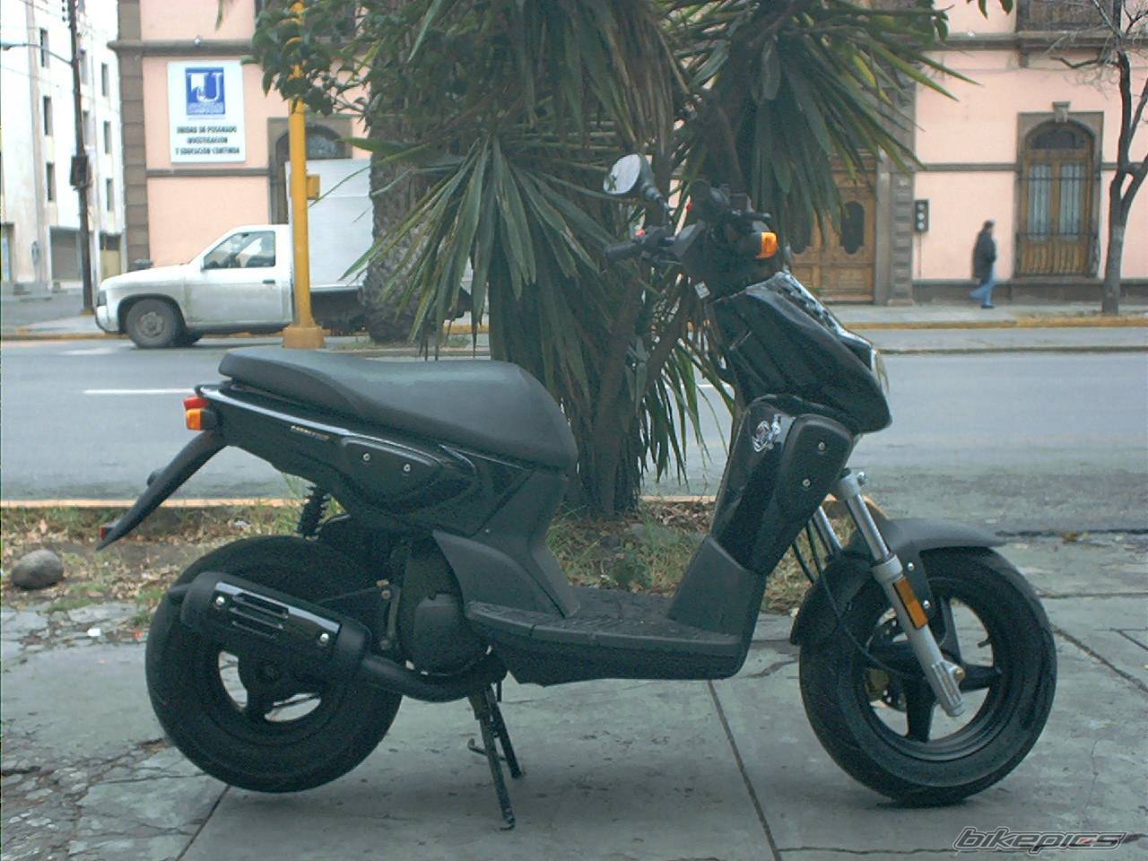 Photo 283242