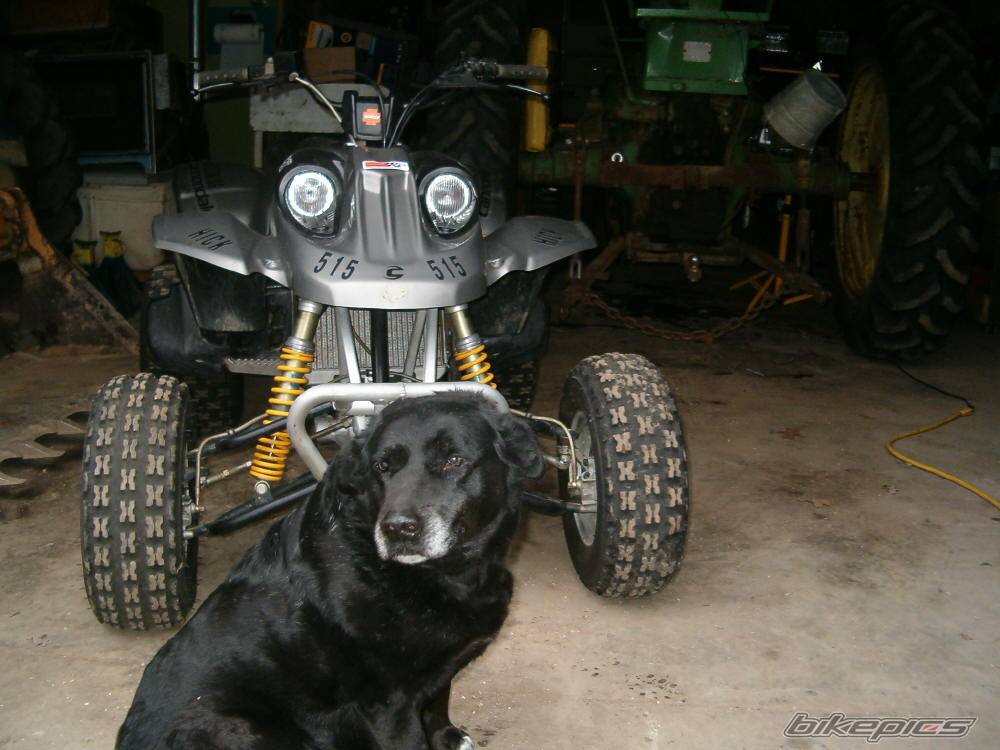 Bike Photo 283274