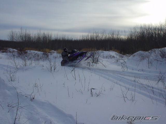 Photo 283288