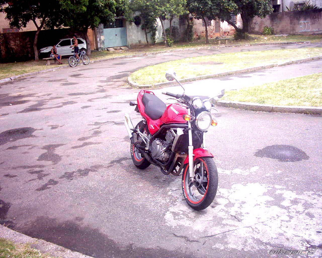 Photo 283405