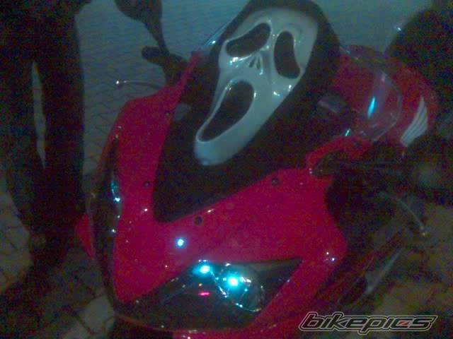 Photo 283448