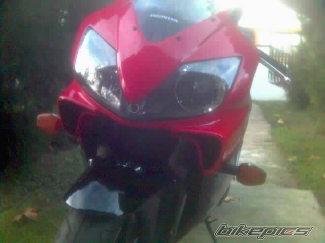 Photo 283453