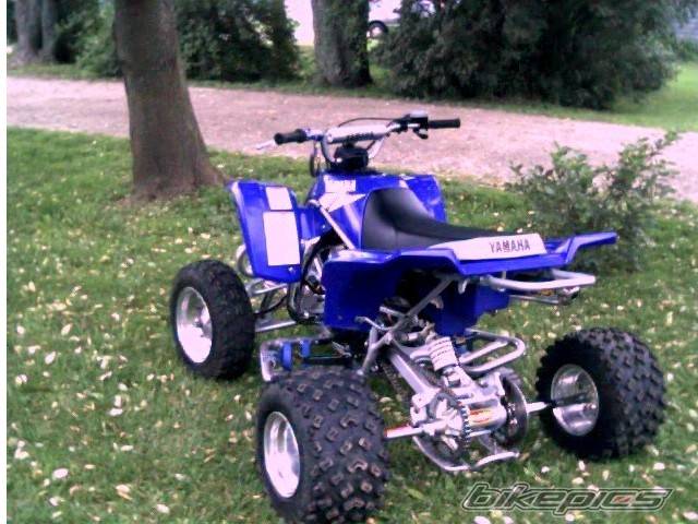 Photo 28351