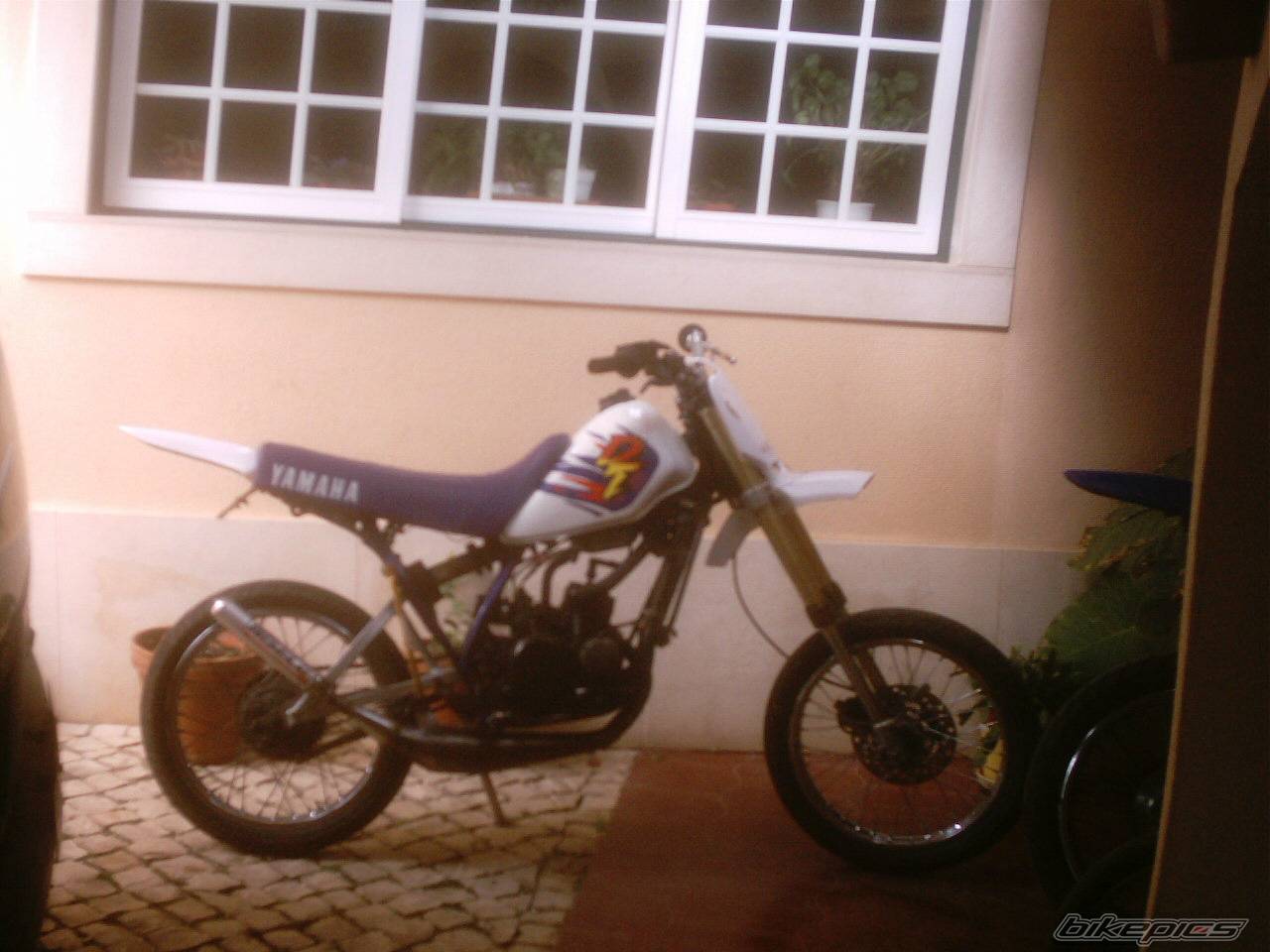 Photo 283612