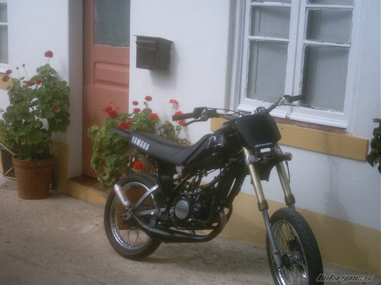 Photo 283620