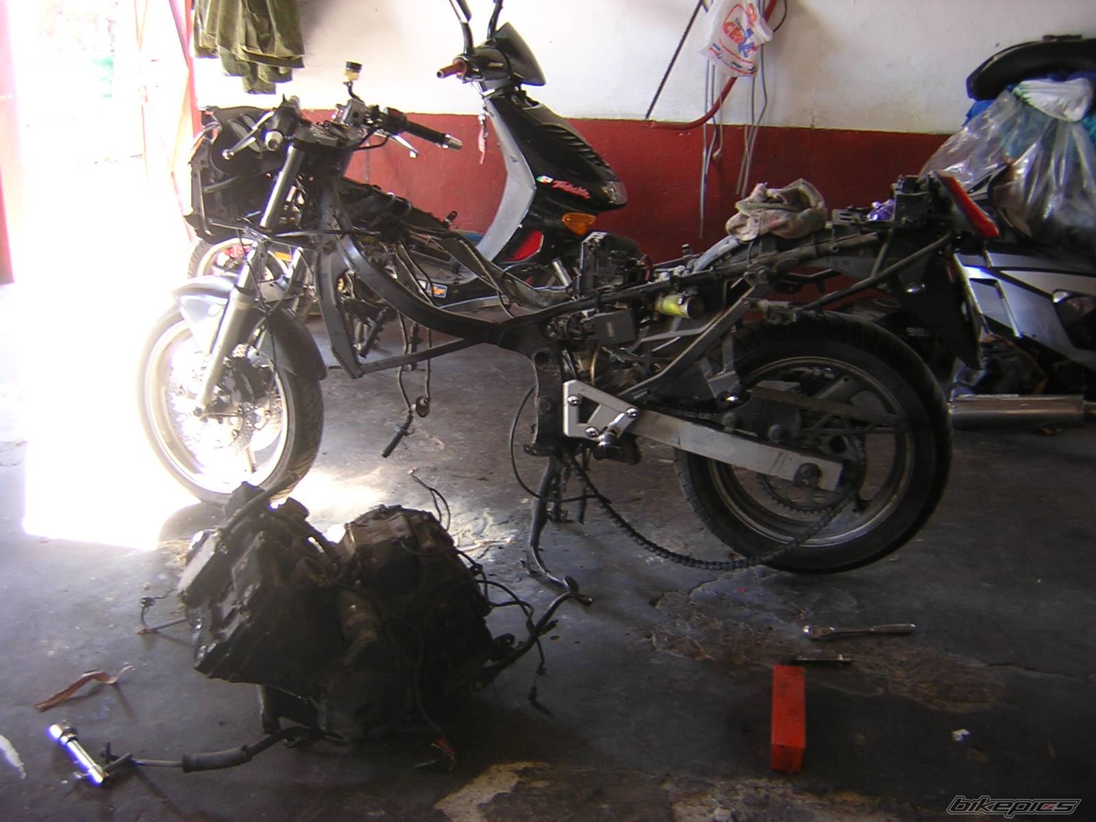 Photo 283649