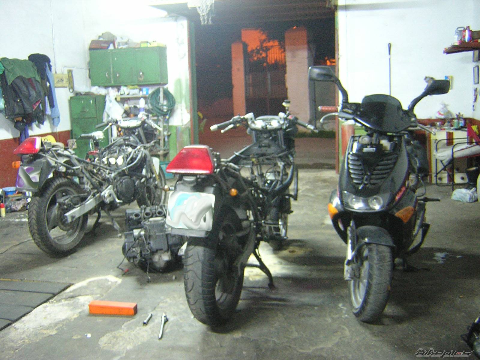 Photo 283667