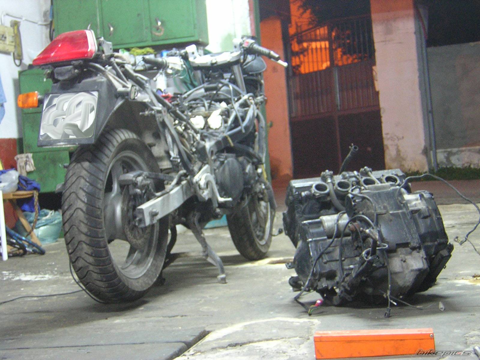Photo 283668